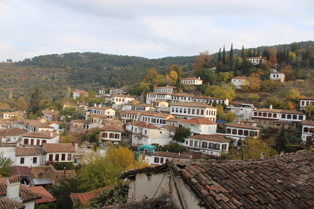 IMG-6263