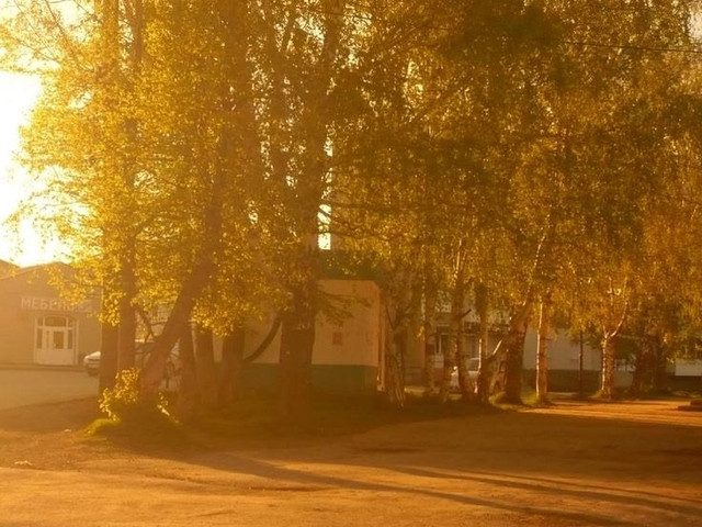 Лучик Солнца Лого