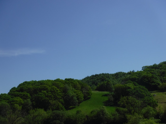 DSCF7886.jpg