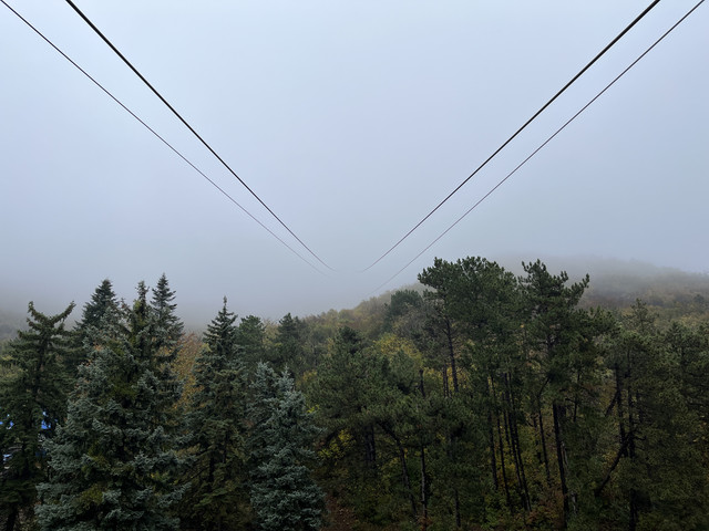IMG-7197