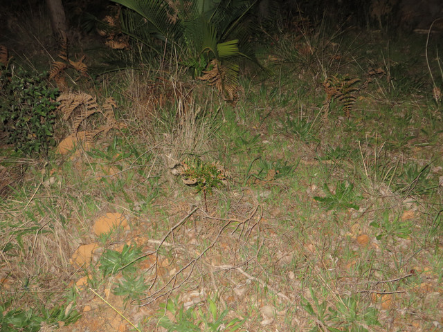 IMG-1396