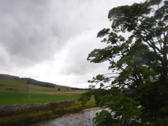 DSCF9128.jpg