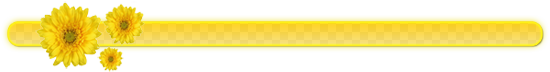 1-202