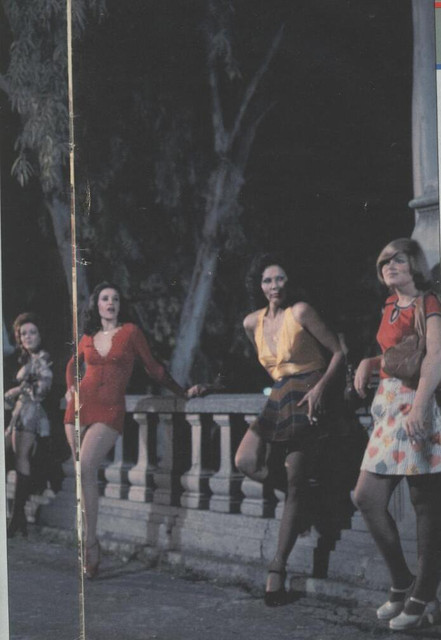 MACIZAS-PUTARRONAS