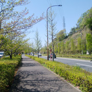 DSC-0040