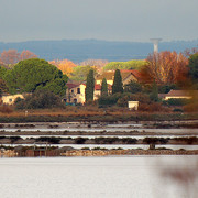 IMG-3428