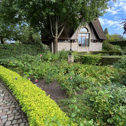 IMG-0683