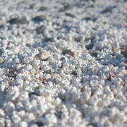 DSCF8486