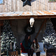 IMG-6374