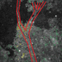 forked trace.png
