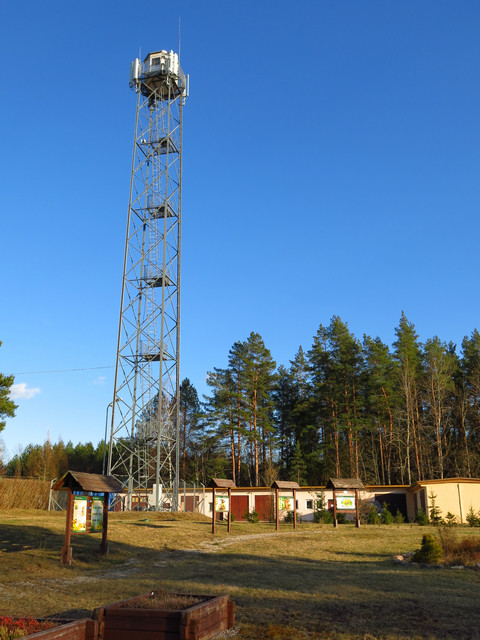 IMG-1703
