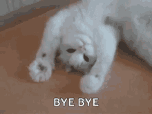 1619369455032.gif
