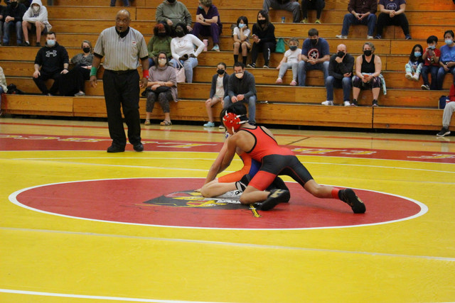 IMG-0037
