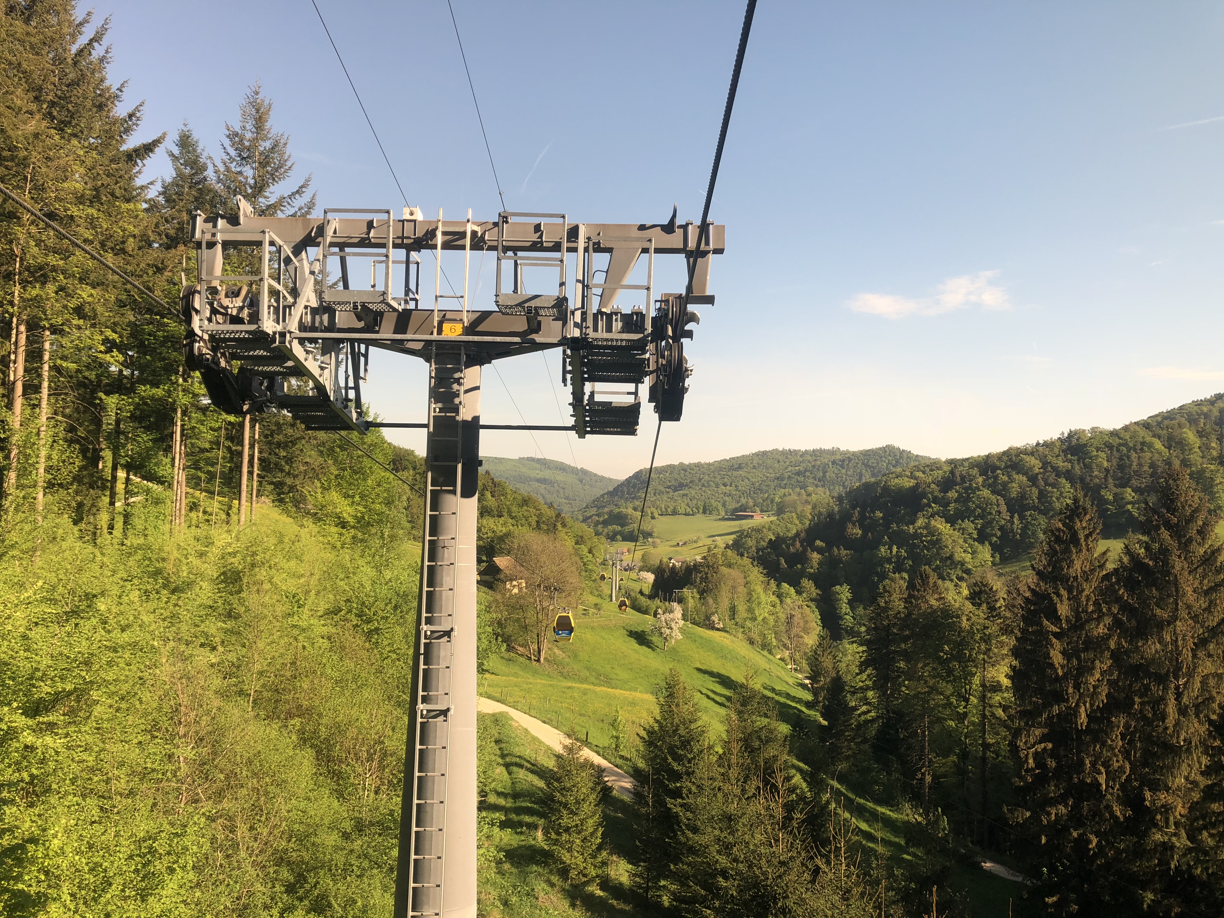 IMG-0869.jpg