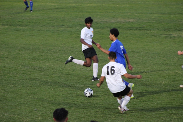 IMG-0125