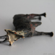 IMG-6639