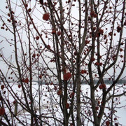 DSC00379