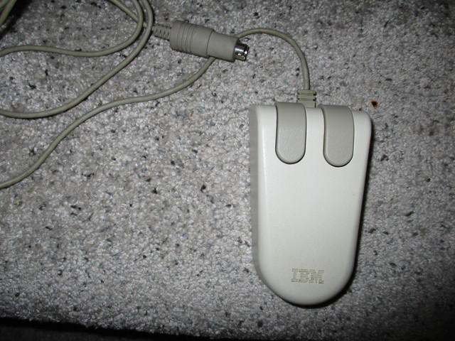 IMG-0239