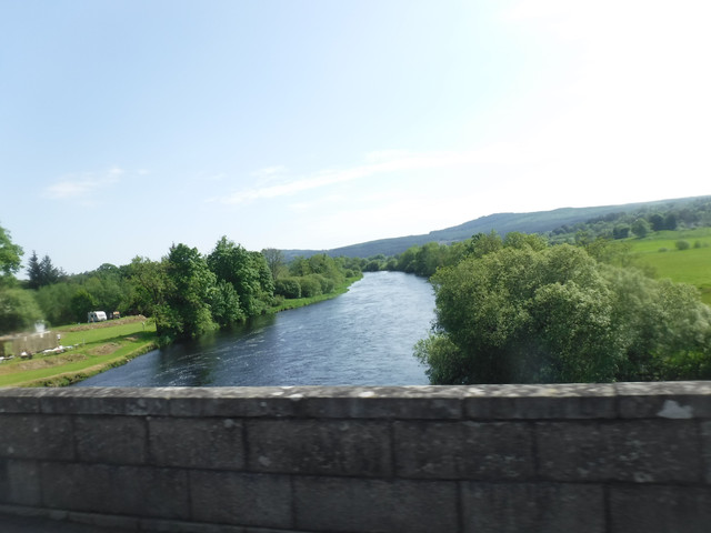 DSCF7955.jpg