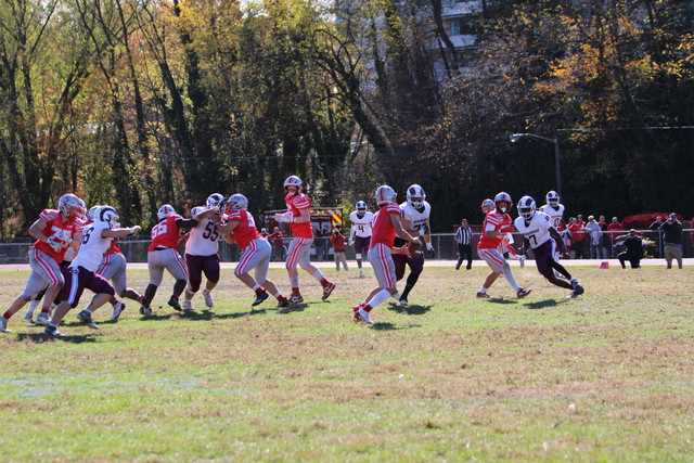IMG-1166.jpg