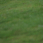 IMG-6173
