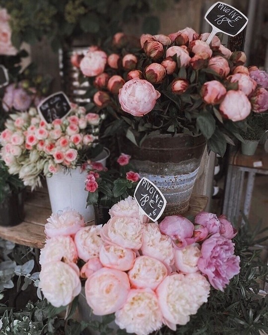 tumblr-beb8b98545e97025b756256cc8b4bc86-75c1e991-540