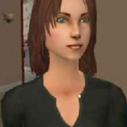 Self-Sim-Henwen