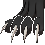 [Image: puppy-paws.png]