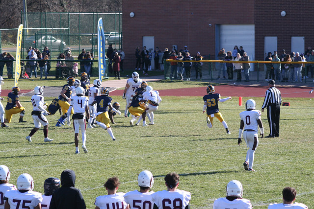 IMG-2935.jpg