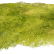 Lawn