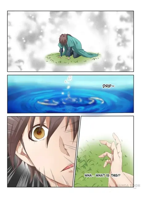 05.webp