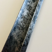 IMG-E5131