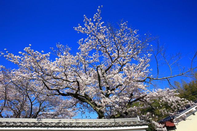 20150409130845b71