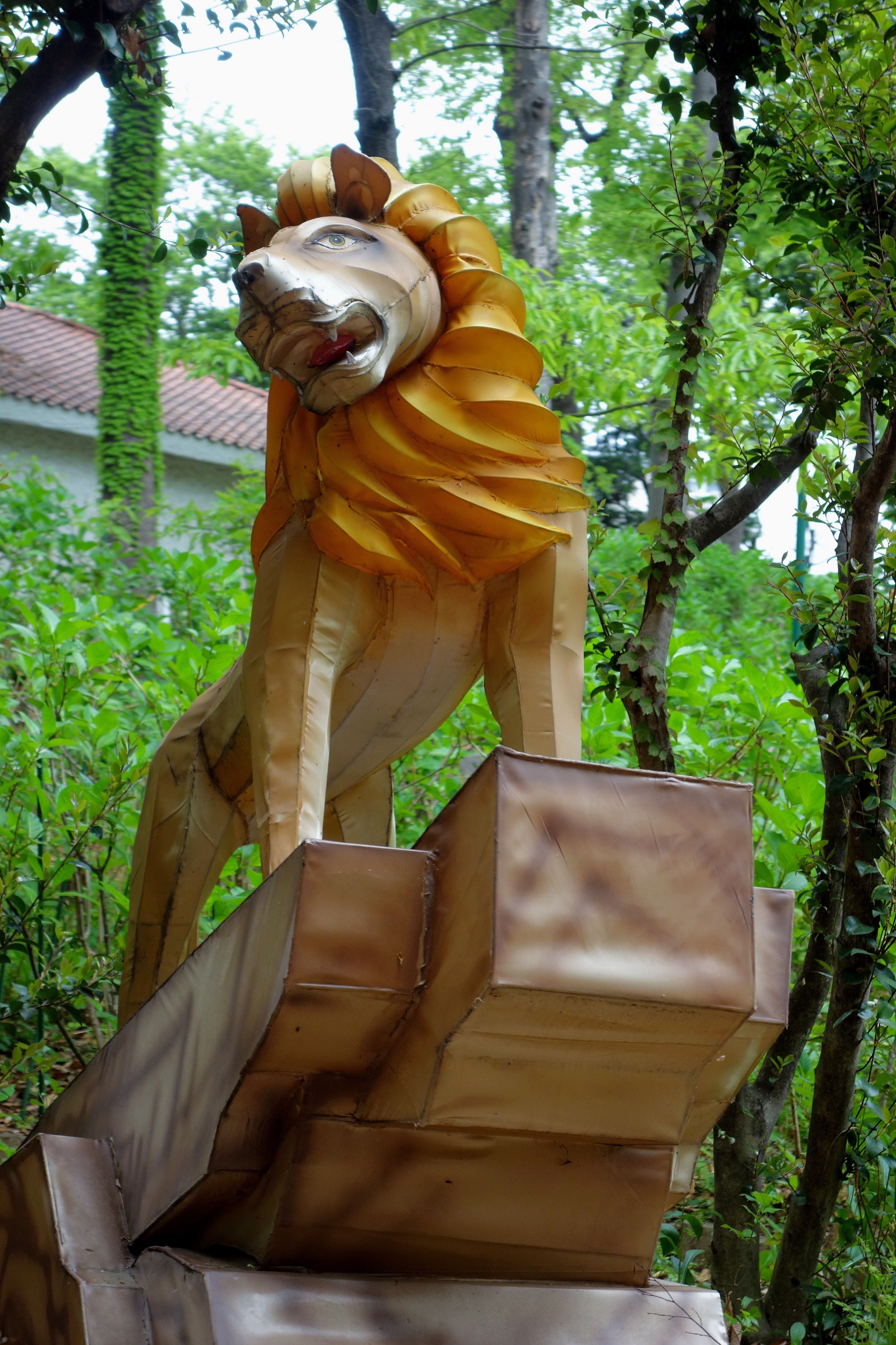 DSC03920