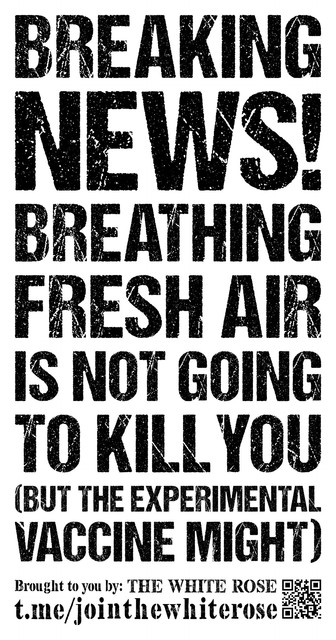 Breaking-News