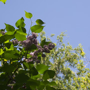DSC3870