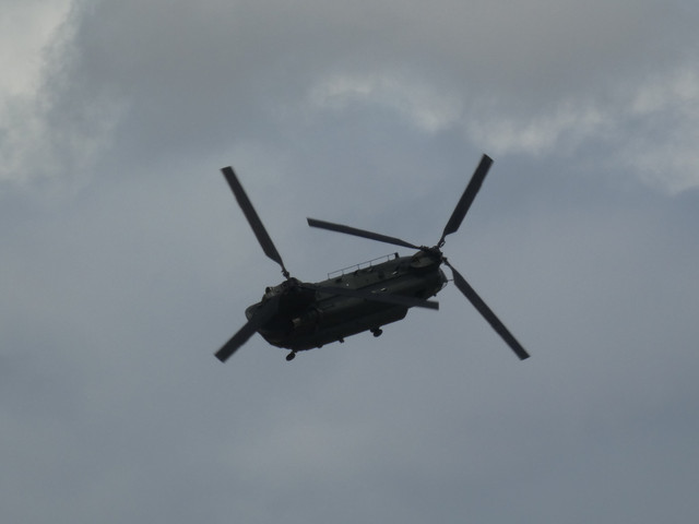 P1010282-2.jpg