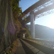 P1130493