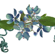 0-7b083-3e7aad71-L