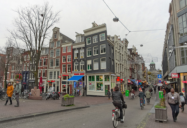 IMGP9477.jpg