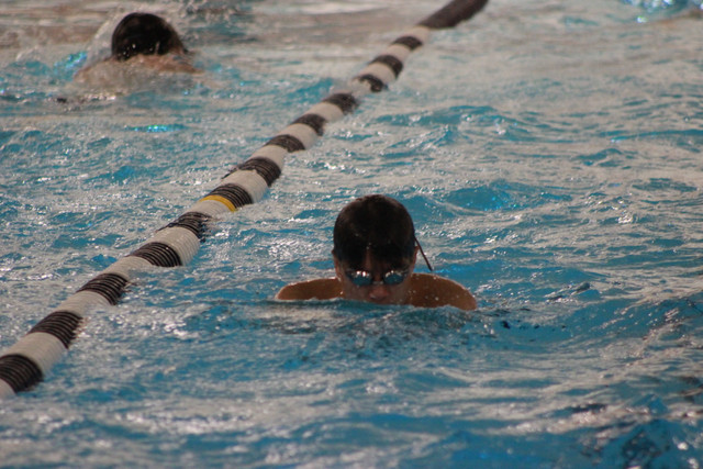 IMG-0335