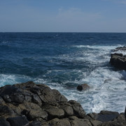 DSCF8177