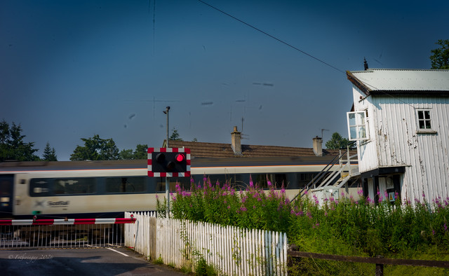 L1461435.jpg