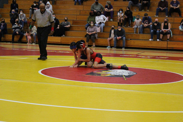 IMG-0040