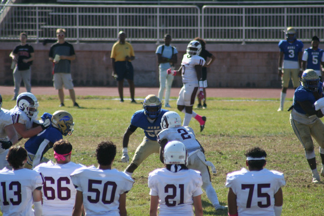 IMG-1279.jpg