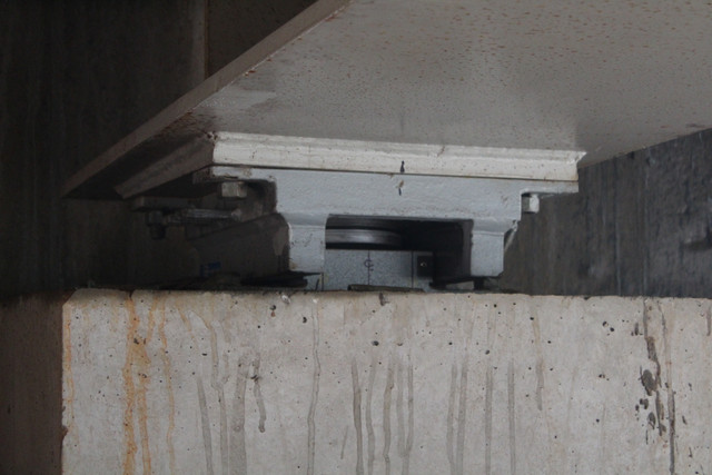 IMG 0555.jpg