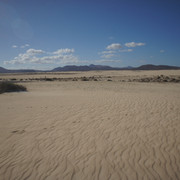 DSC01220