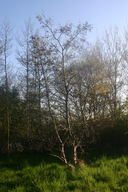 IMG-0349