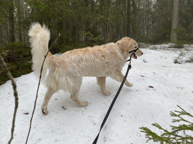 59241628-1904-4399-8-F6-D-B2868452-B8-B5