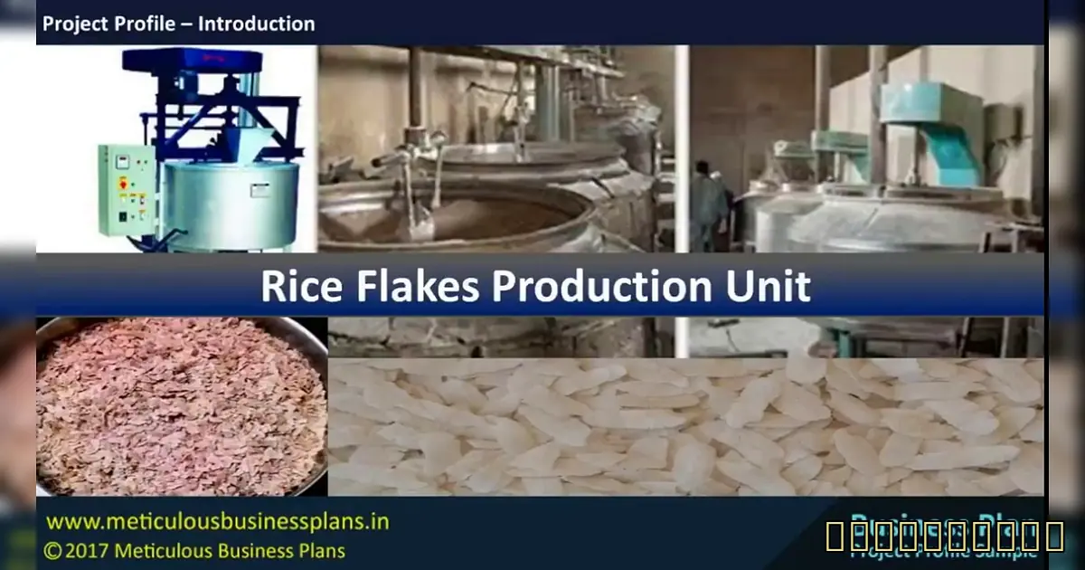 42 हजार/महीने कमाई का मौका! 4 लाख में शुरू करें ये बिजनेस - Rice Production Line